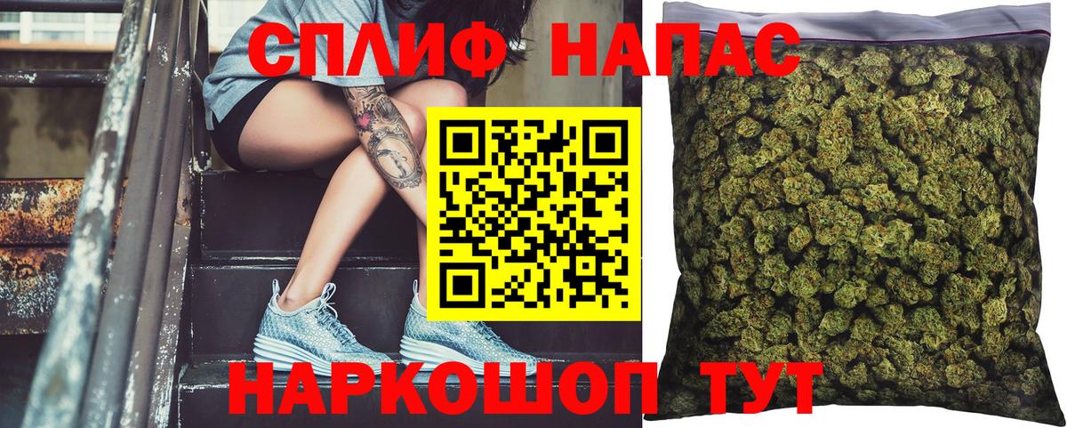 Ставрополь  Шишки марихуана тримм  Вход с VPN  Конопля индика  МАРИХУАНА Bruce Banner  Канабис план 